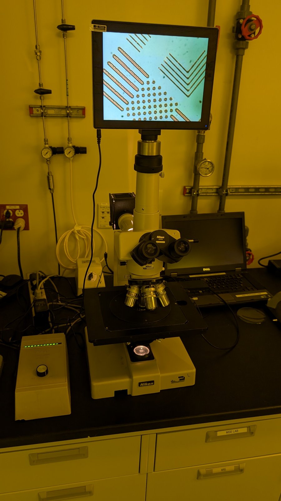 Summer Processing Lab: Week 2 (6/9)