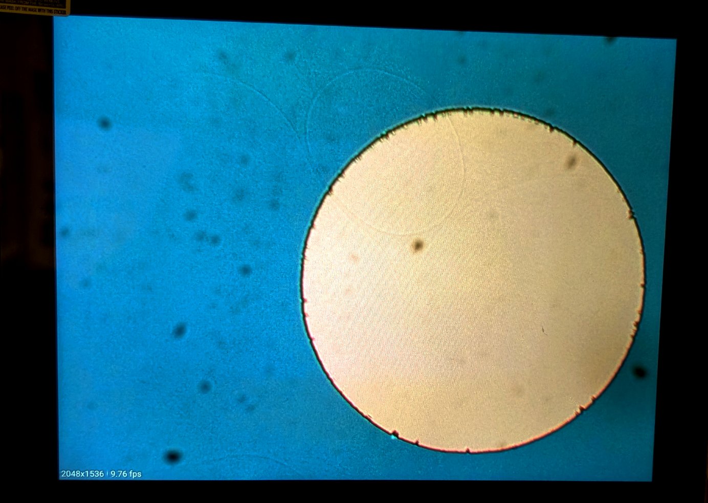 Summer Processing Lab: Week 3 (6/16)