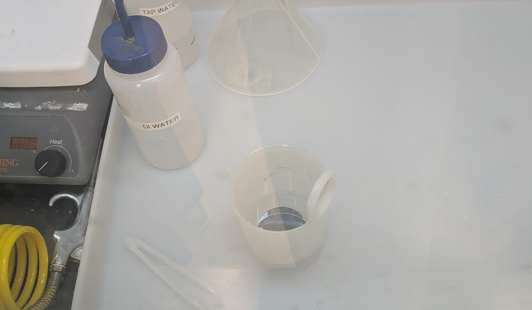 Summer Processing Lab: Week 4 (6/30)